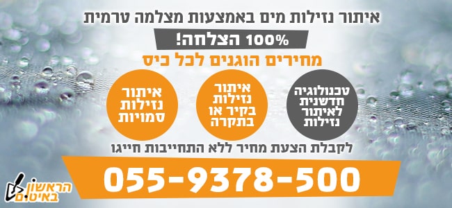 איתור נזילות מים במצלמה טרמית